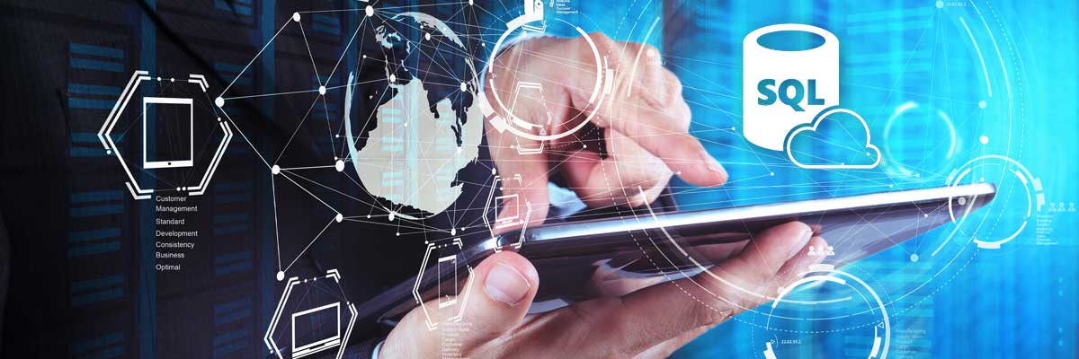 веб, web, проект, Цифровые решения